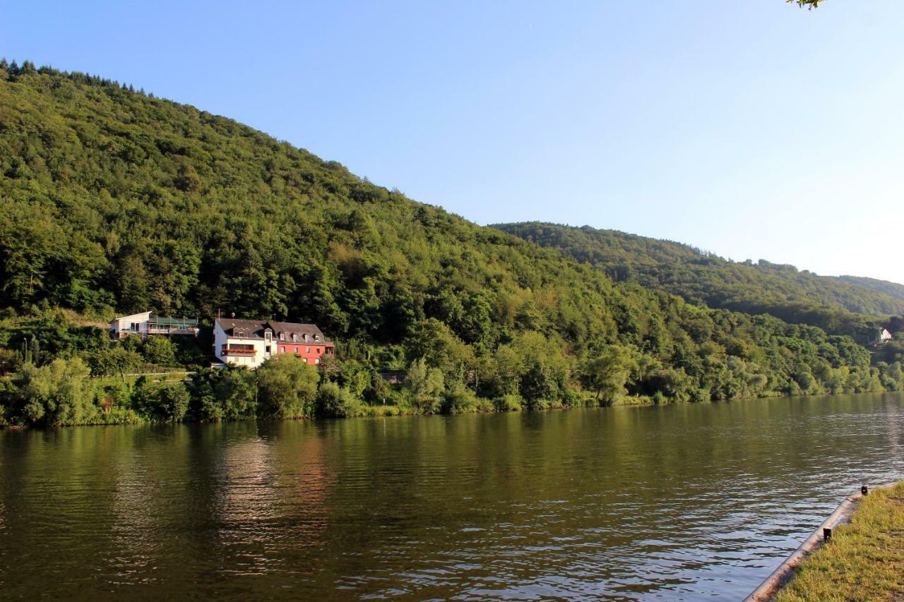Ferienwohnung Moselblick Bernkastel-Kues Dış mekan fotoğraf