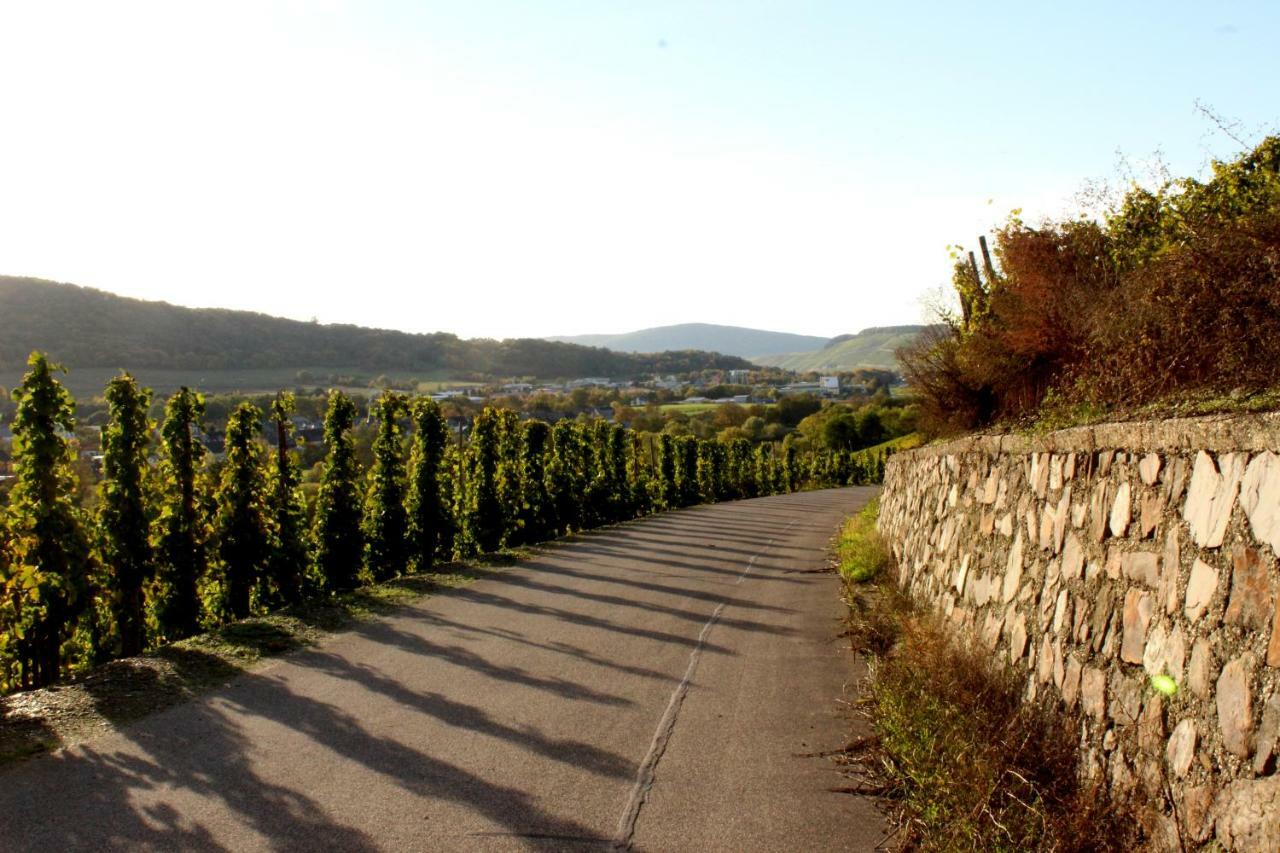 Ferienwohnung Moselblick Bernkastel-Kues Dış mekan fotoğraf
